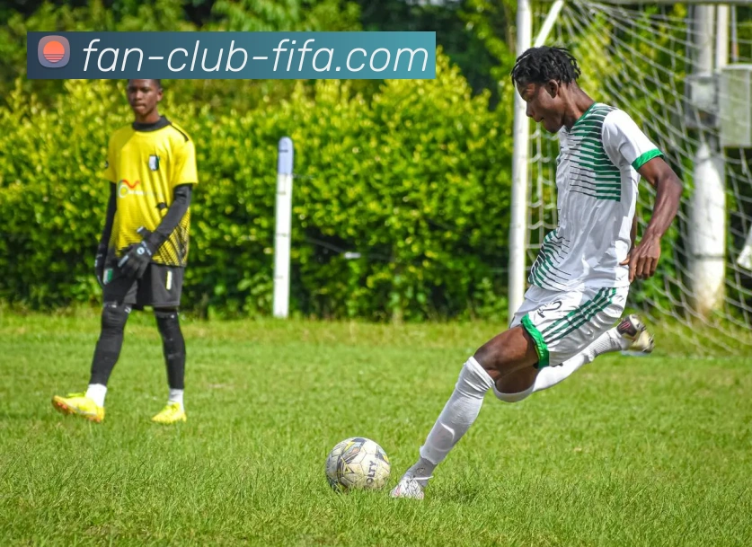 世界杯官网APP 高清赛事图